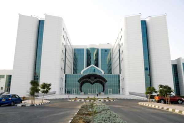 Yakın Doğu Üniversitesi 2